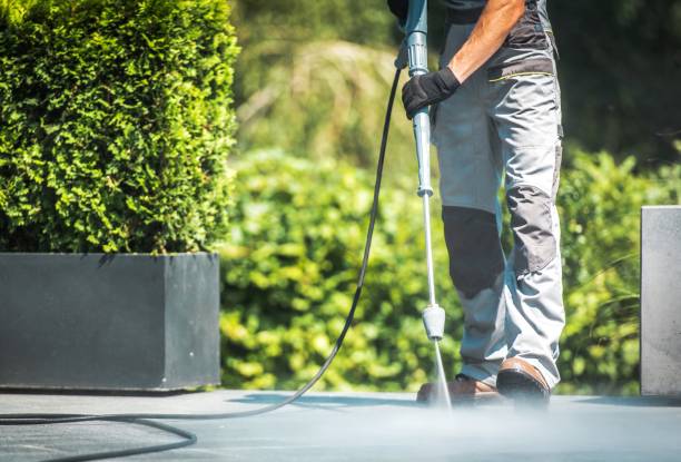 Best Fence Cleaning and Maintenance in Atkins, IA