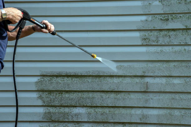 Best Soft Washing for Delicate Surfaces in Atkins, IA